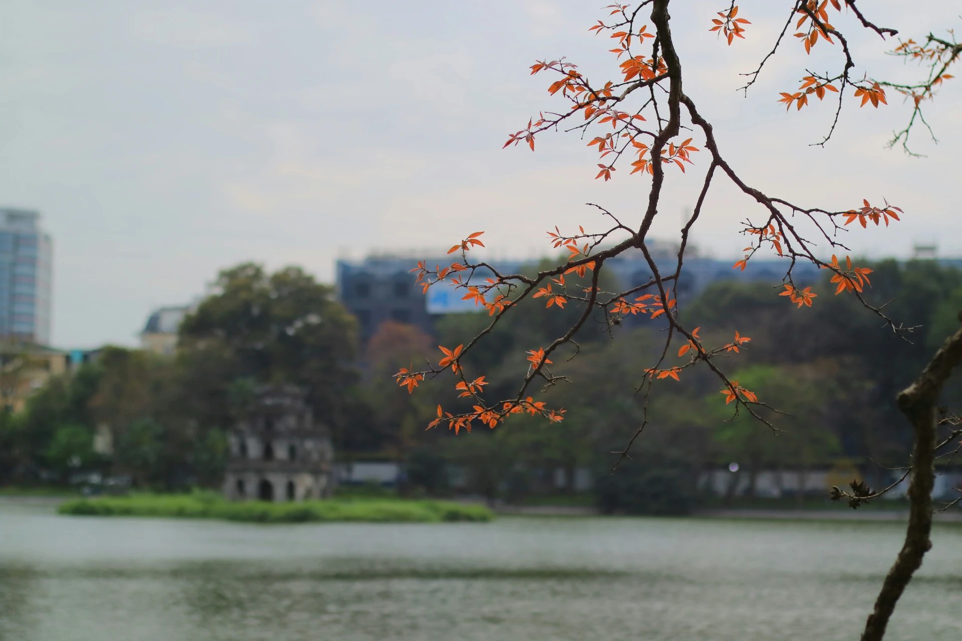 Hanoi Jeep Tour: Hanoi Red River Delta - Countryside Tour