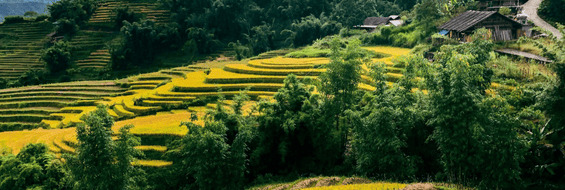 Vietnam North to South with Sapa