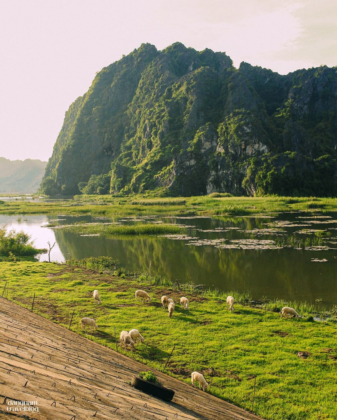 Ninh Binh Tour (Hoa Lu - Tam Coc - Mua Cave) Full-day