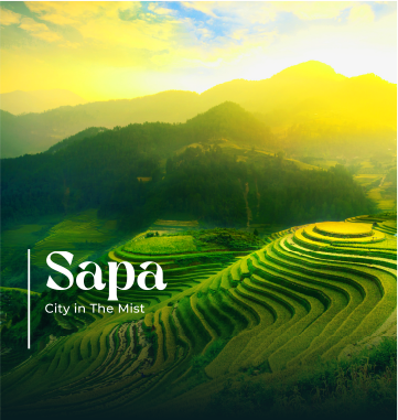 Sapa